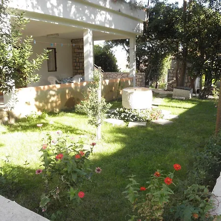 Ivo Pag Town