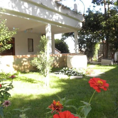 Ivo Pag Town